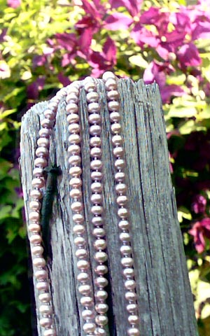lavender pearls on clematis lavender pearls with clematis